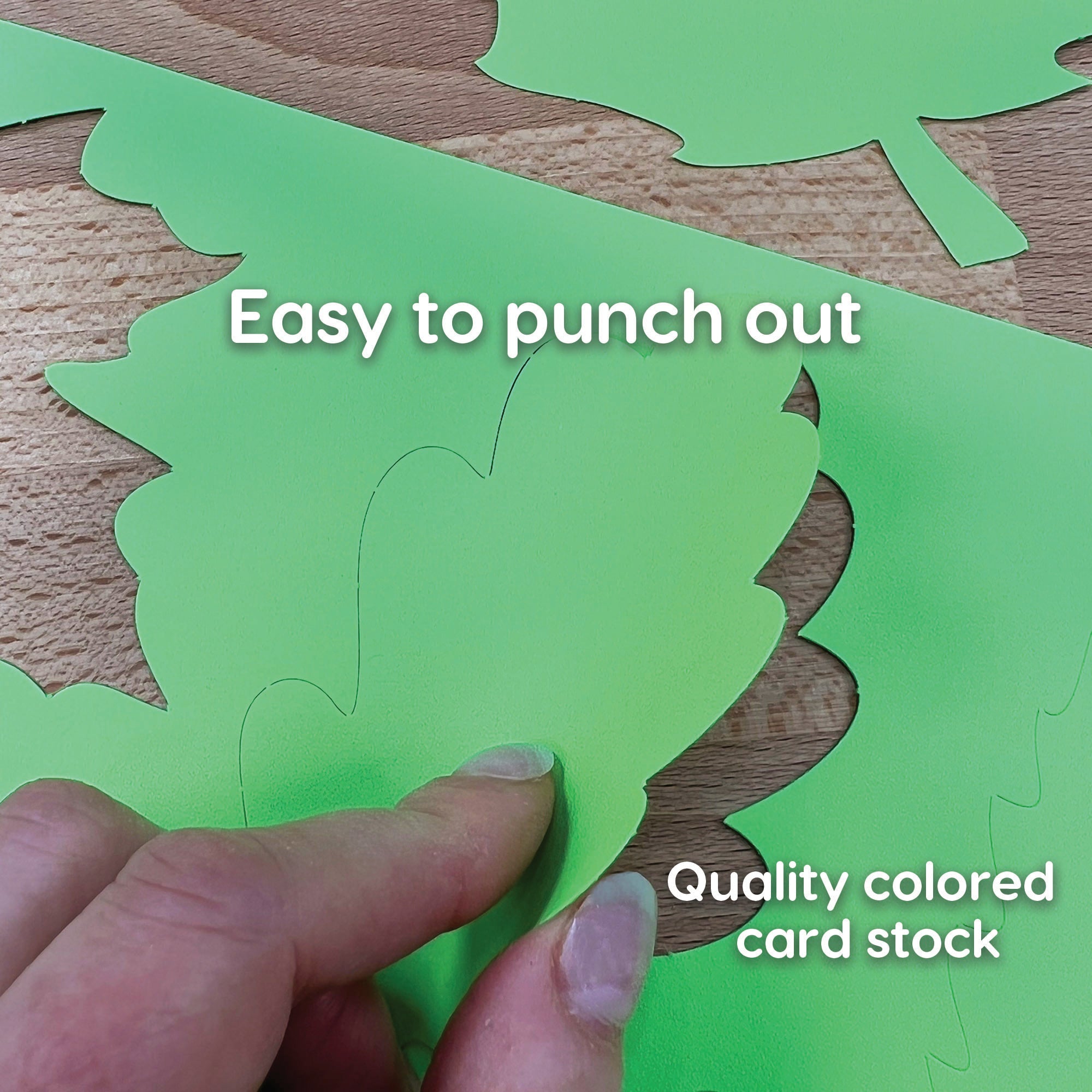 Spring Pattern Cutouts Spring Shape Cutouts – FreshCut Crafts